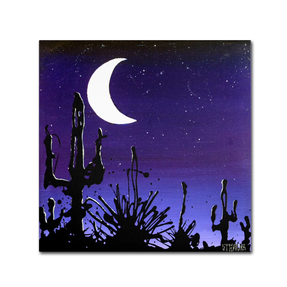 Roderick Stevens 'Desert Moon' Canvas Wall Art 14 X 14