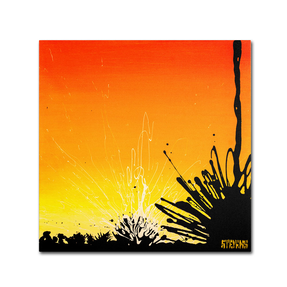 Roderick Stevens 'Ocotillo Sunburst' Canvas Wall Art 14 X 14
