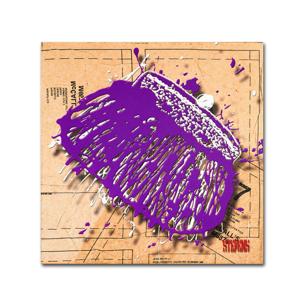 Roderick Stevens 'Snap Purse Purple' Canvas Wall Art 14 X 14