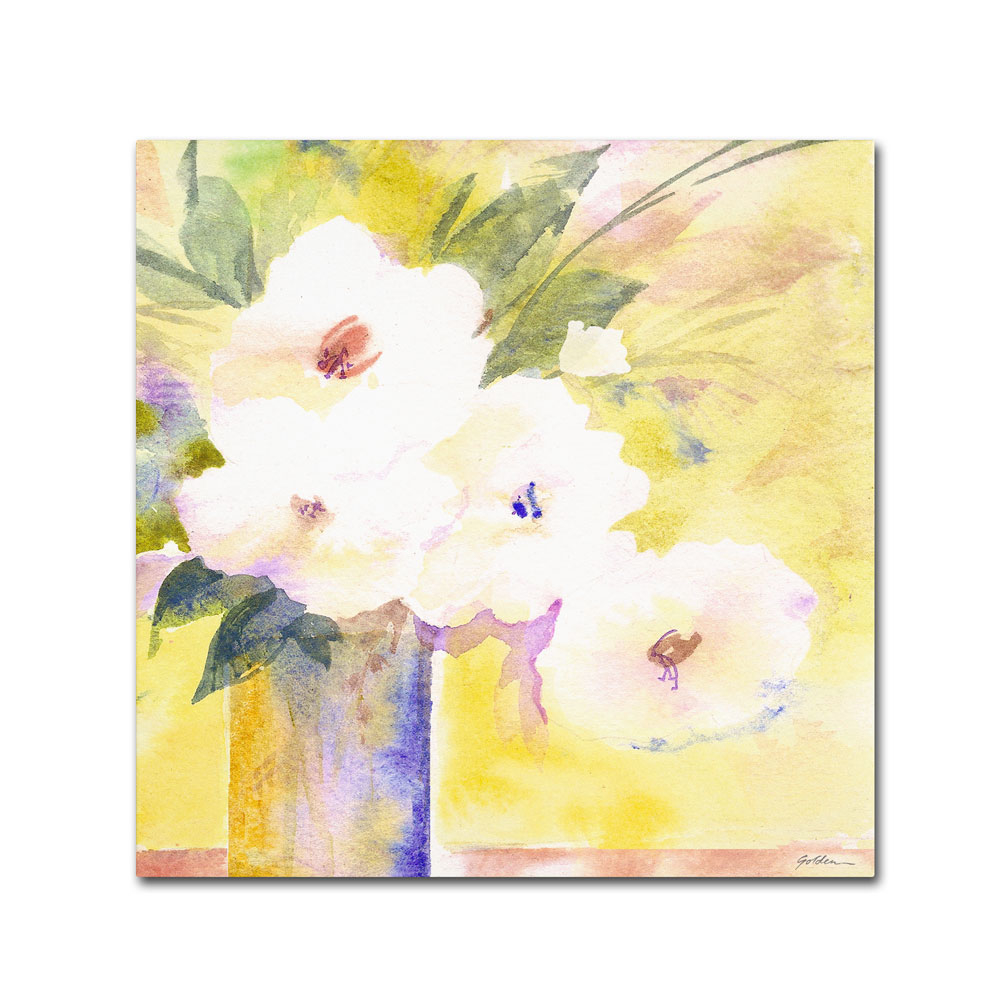 Sheila Golden 'White Flower Shadows' Canvas Wall Art 14 X 14
