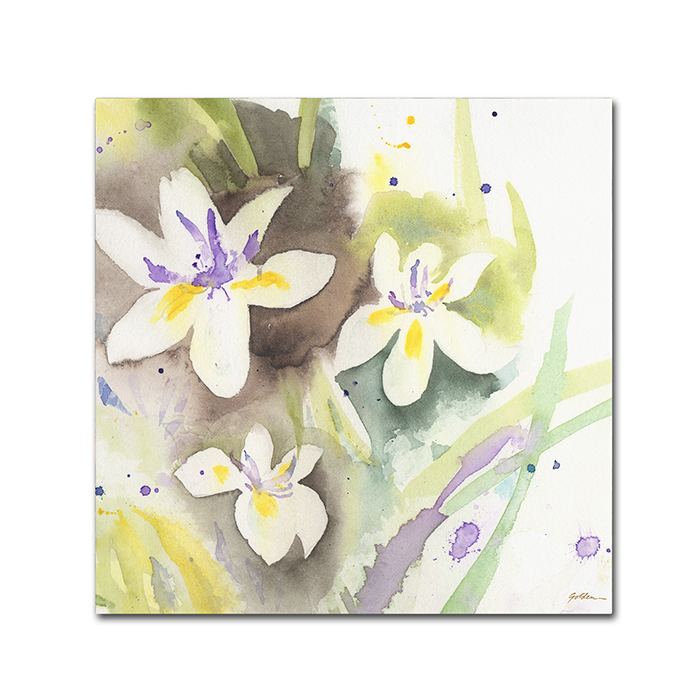 Sheila Golden 'White Iris' Canvas Wall Art 14 X 14