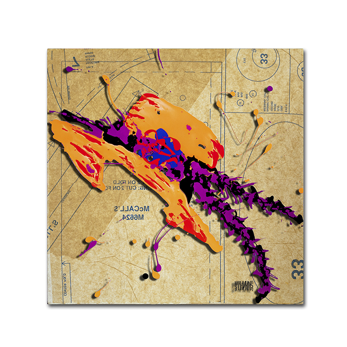 Roderick Stevens 'Orange Hat Purple Feathers' Canvas Wall Art 14 X 14