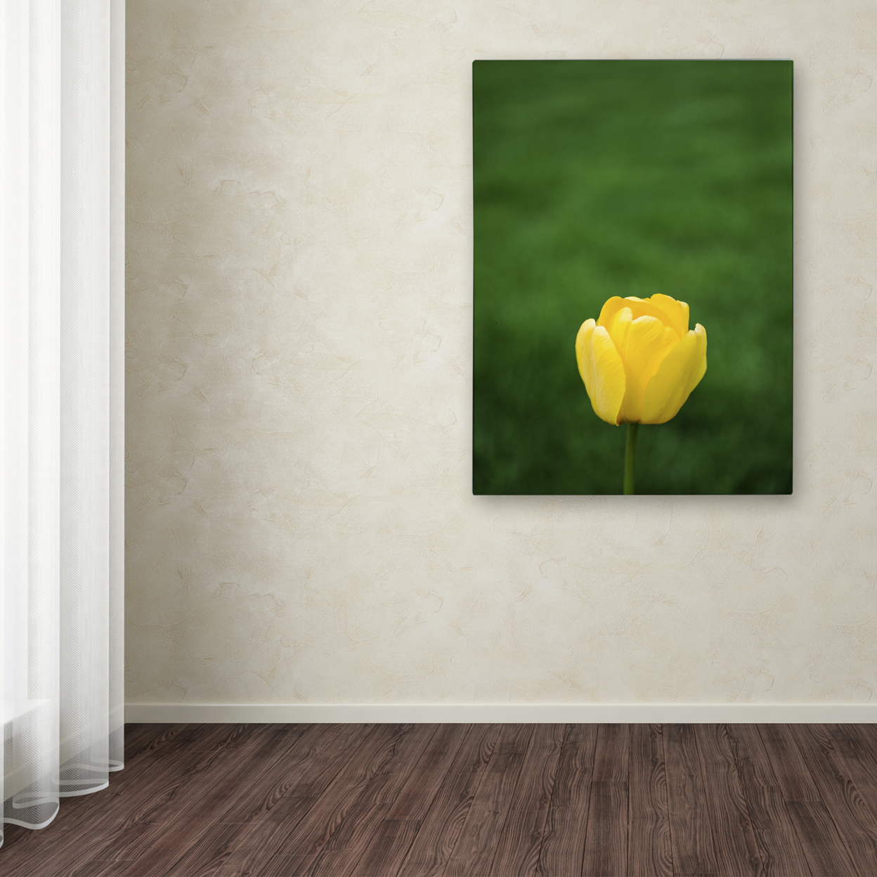 Kurt Shaffer 'A Lone Yellow Tulip' Canvas Wall Art 35 X 47 Inches