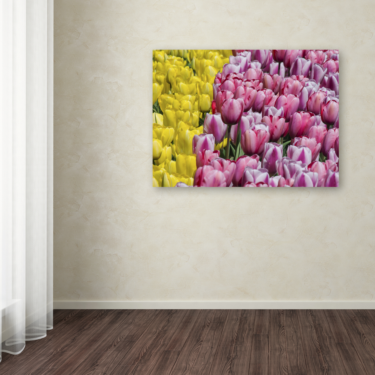 Kurt Shaffer 'Tulip Heaven' Canvas Wall Art 35 X 47 Inches