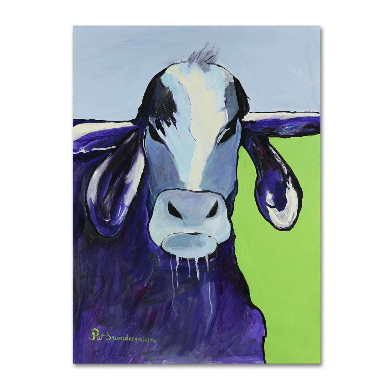 Pat Saunders-White 'Bull Drool II' Canvas Wall Art 35 X 47 Inches