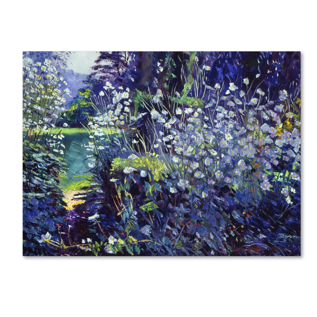 David Lloyd Glover 'Tangled White Flowers' Canvas Wall Art 35 X 47 Inches