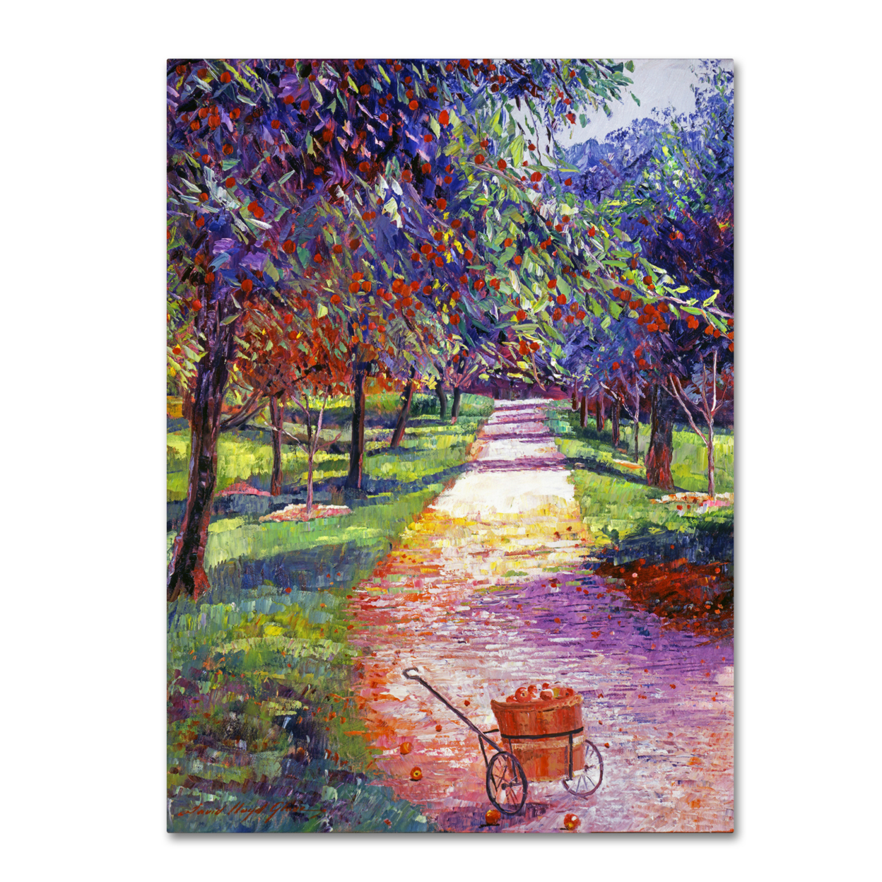 David Lloyd Glover 'French Apple Orchards' Canvas Wall Art 35 X 47 Inches