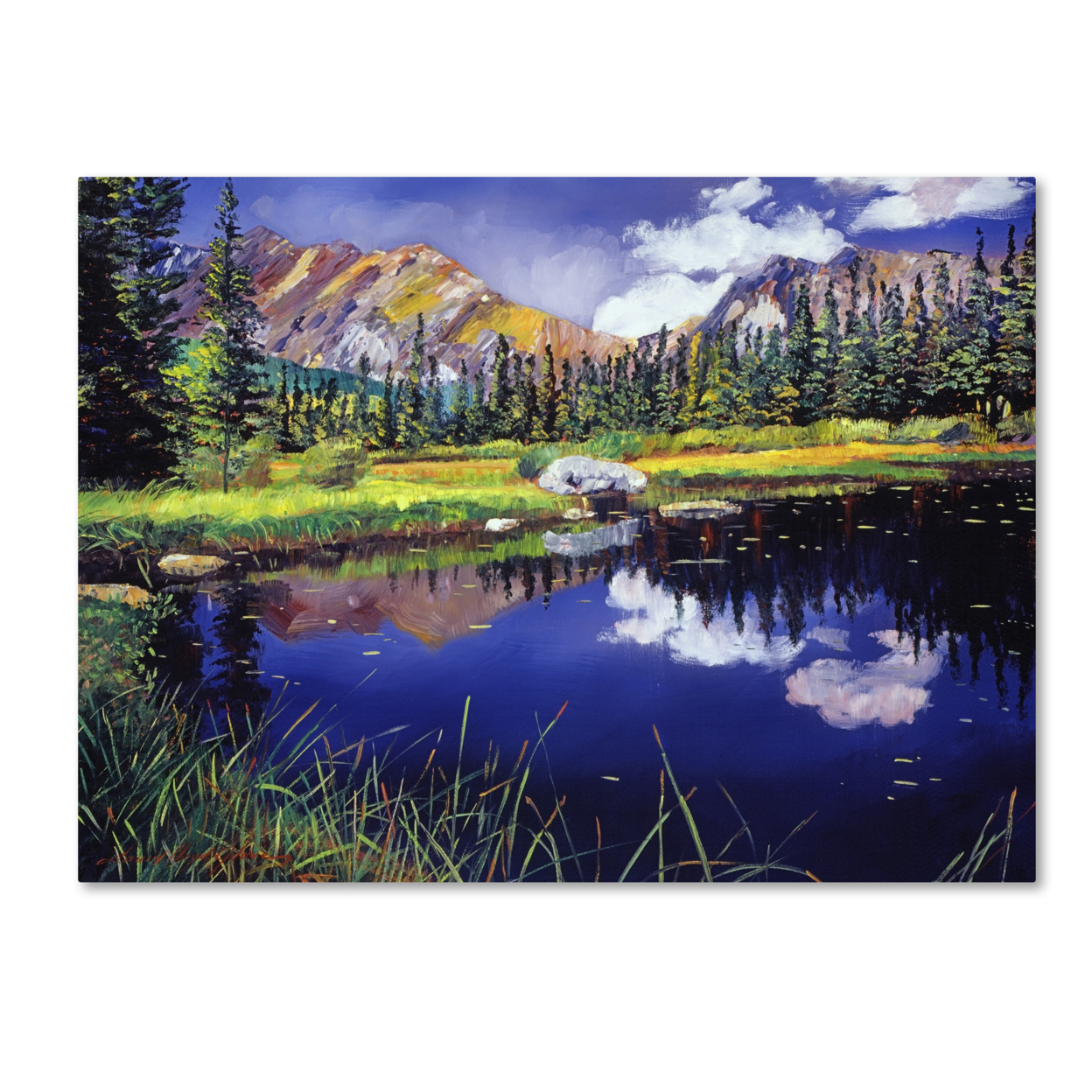 David Lloyd Glover 'Reflections In Solitude' Canvas Wall Art 35 X 47 Inches