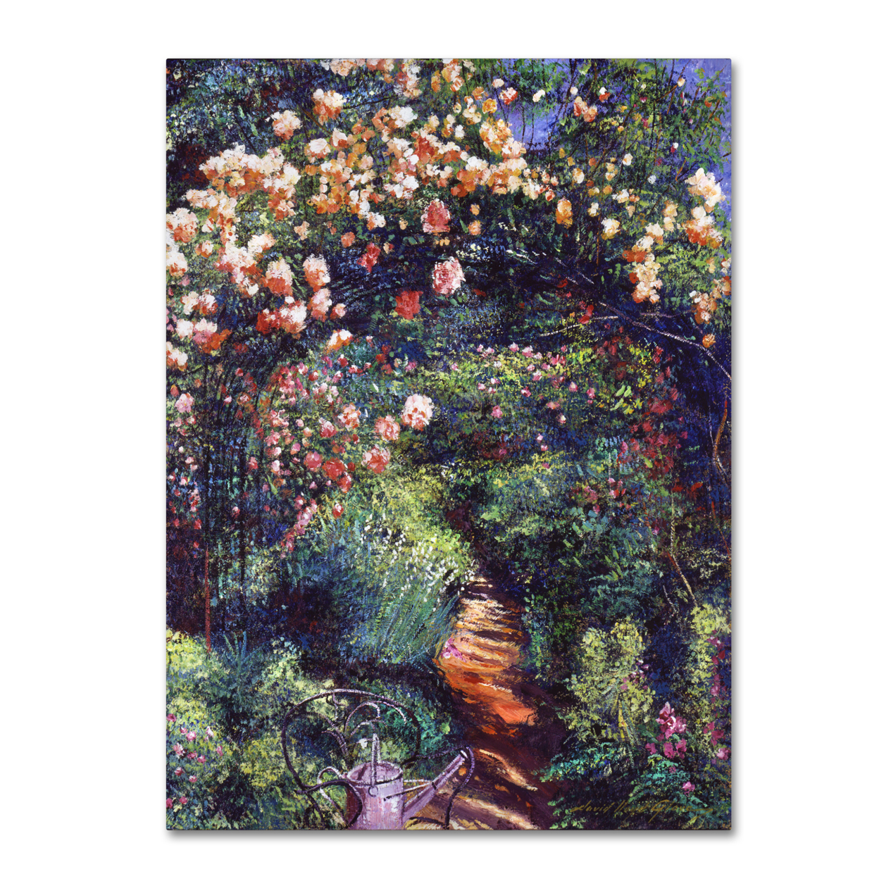 David Lloyd Glover 'Rose Arbor Pathway' Canvas Wall Art 35 X 47 Inches