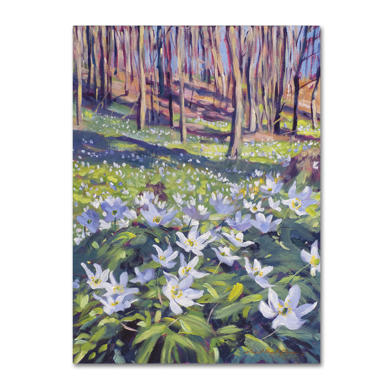 David Lloyd Glover 'Anemones In The Meadow' Canvas Wall Art 35 X 47 Inches