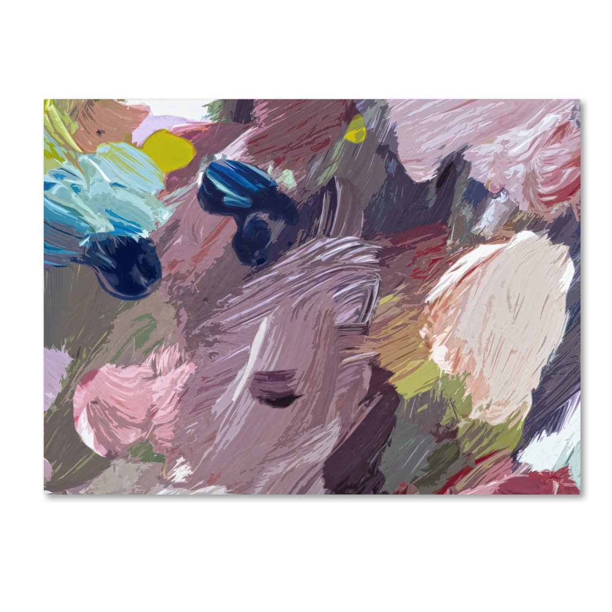 David Lloyd Glover 'Cloud Patterns' Canvas Wall Art 35 X 47 Inches