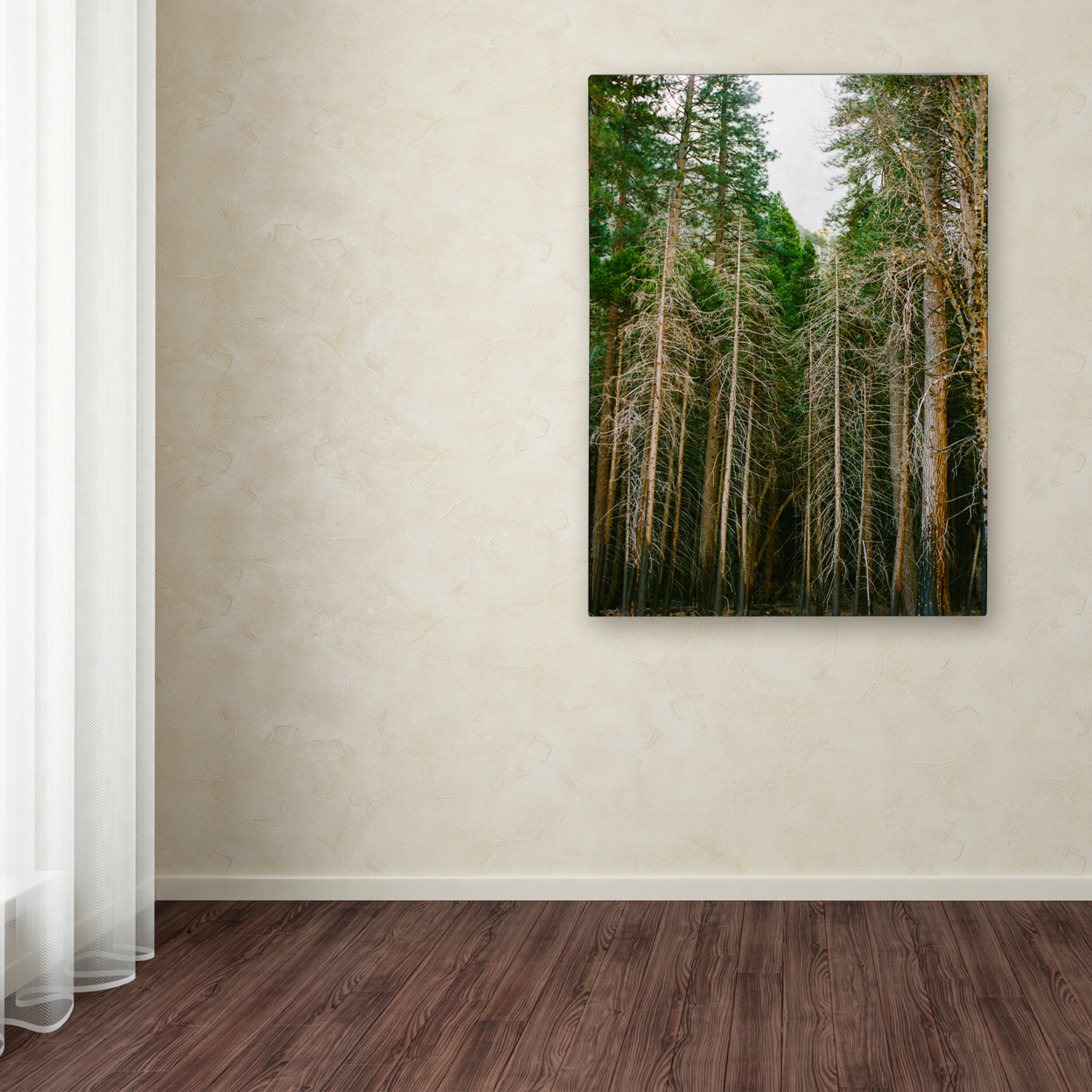 Ariane Moshayedi 'Tree Forest' Canvas Wall Art 35 X 47 Inches