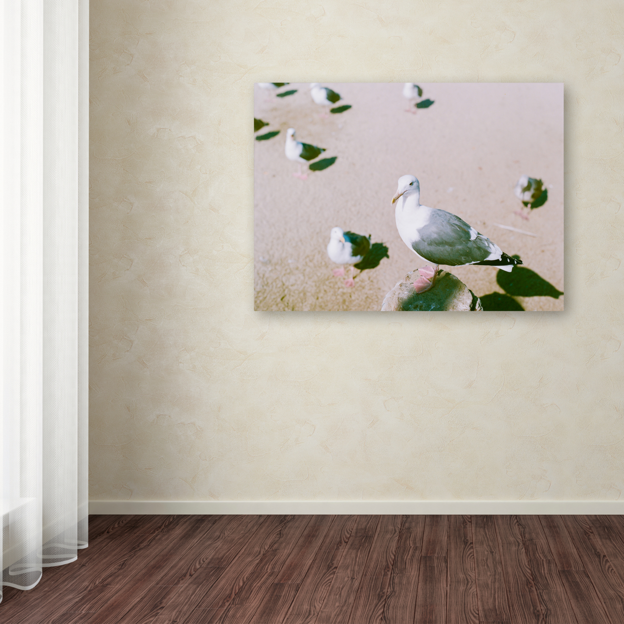Ariane Moshayedi 'Seagull Closeup' Canvas Wall Art 35 X 47 Inches