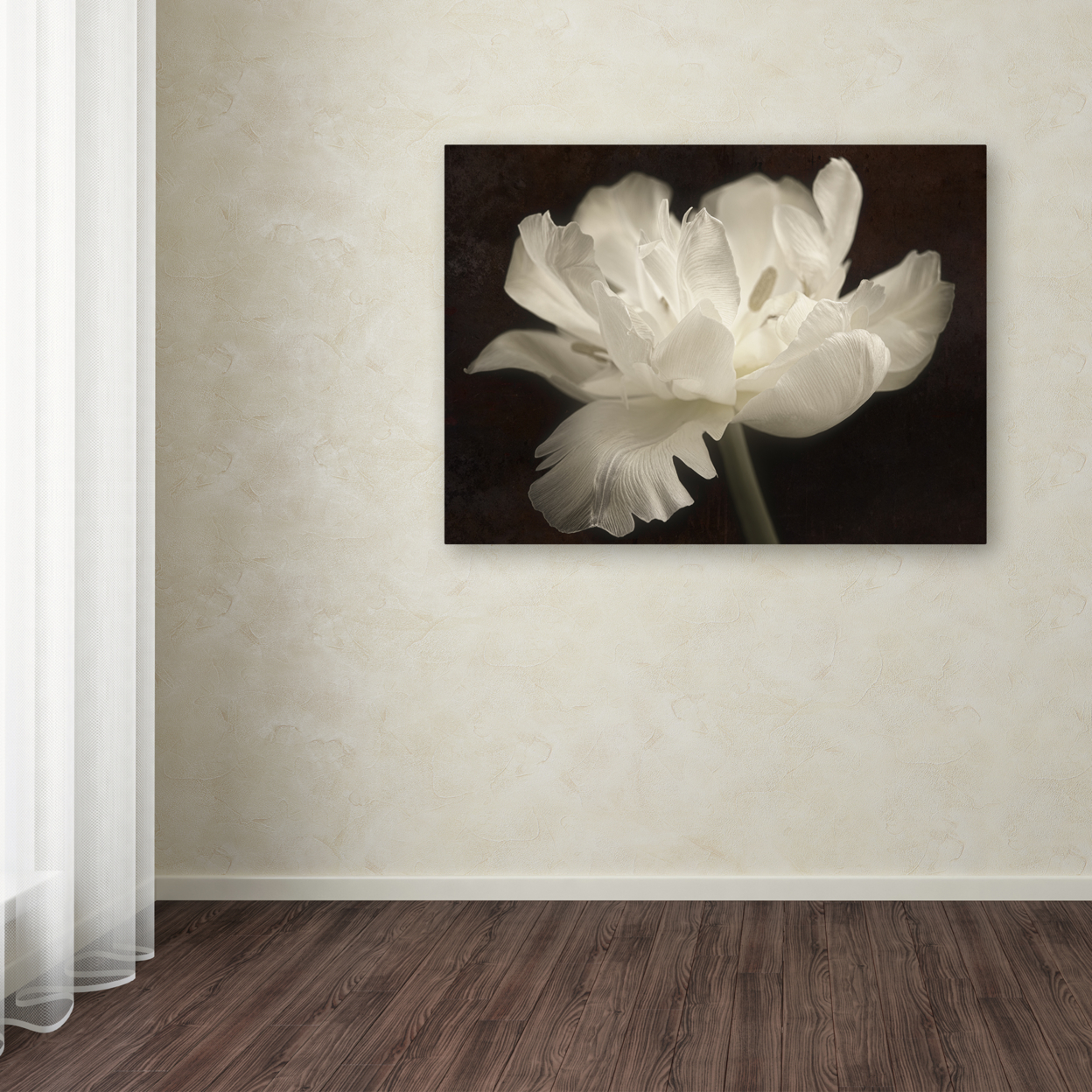 Cora Niele 'White Tulip II' Canvas Wall Art 35 X 47 Inches