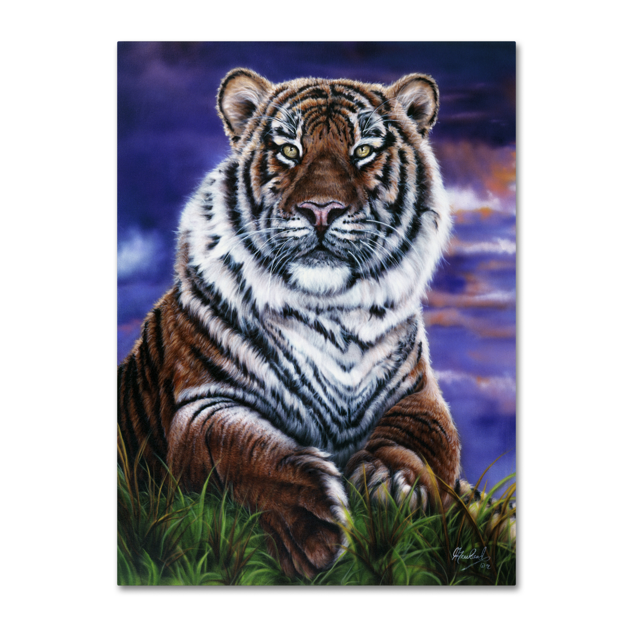 Jenny Newland 'Arizona Tiger' Canvas Wall Art 35 X 47 Inches