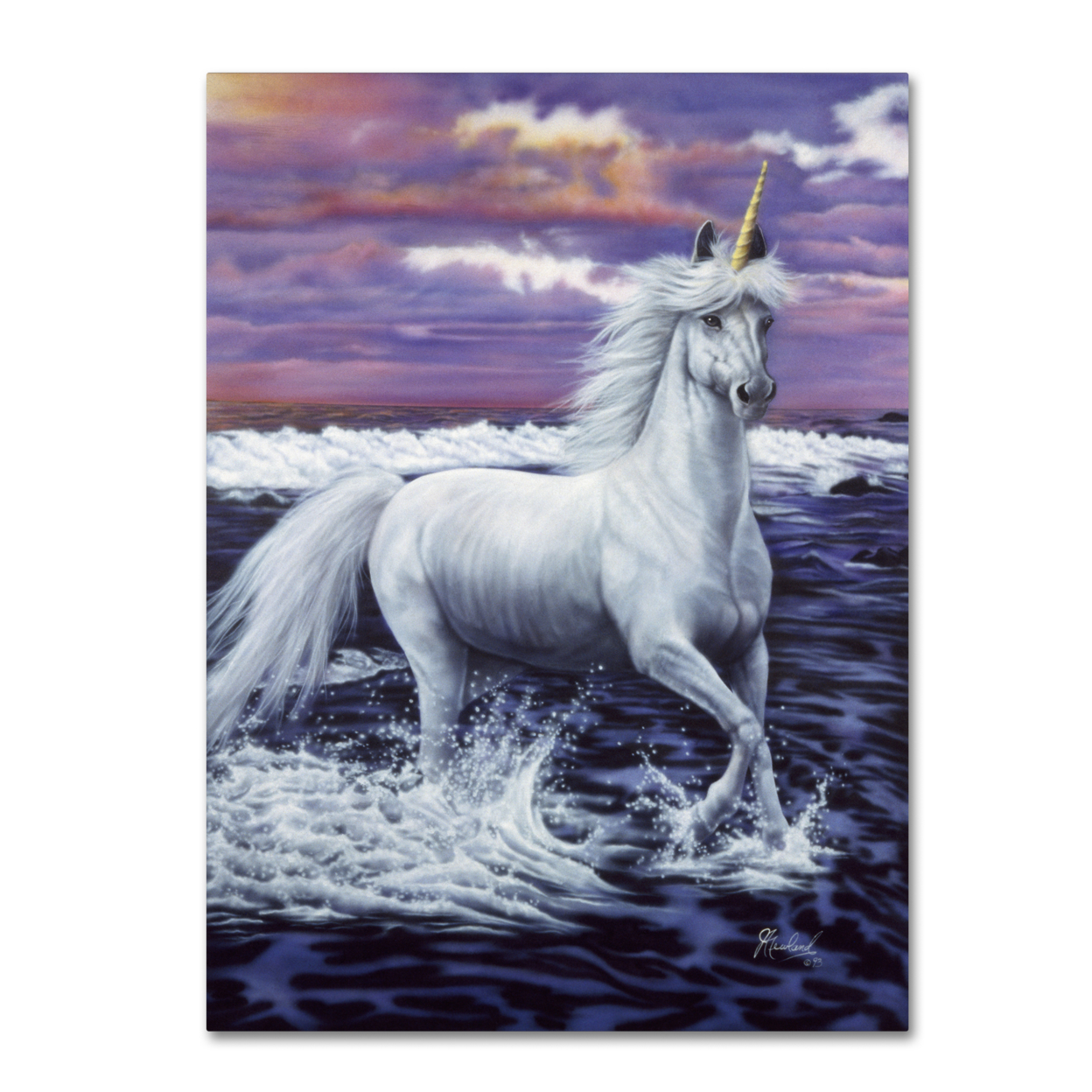 Jenny Newland 'Unicorn' Canvas Wall Art 35 X 47 Inches