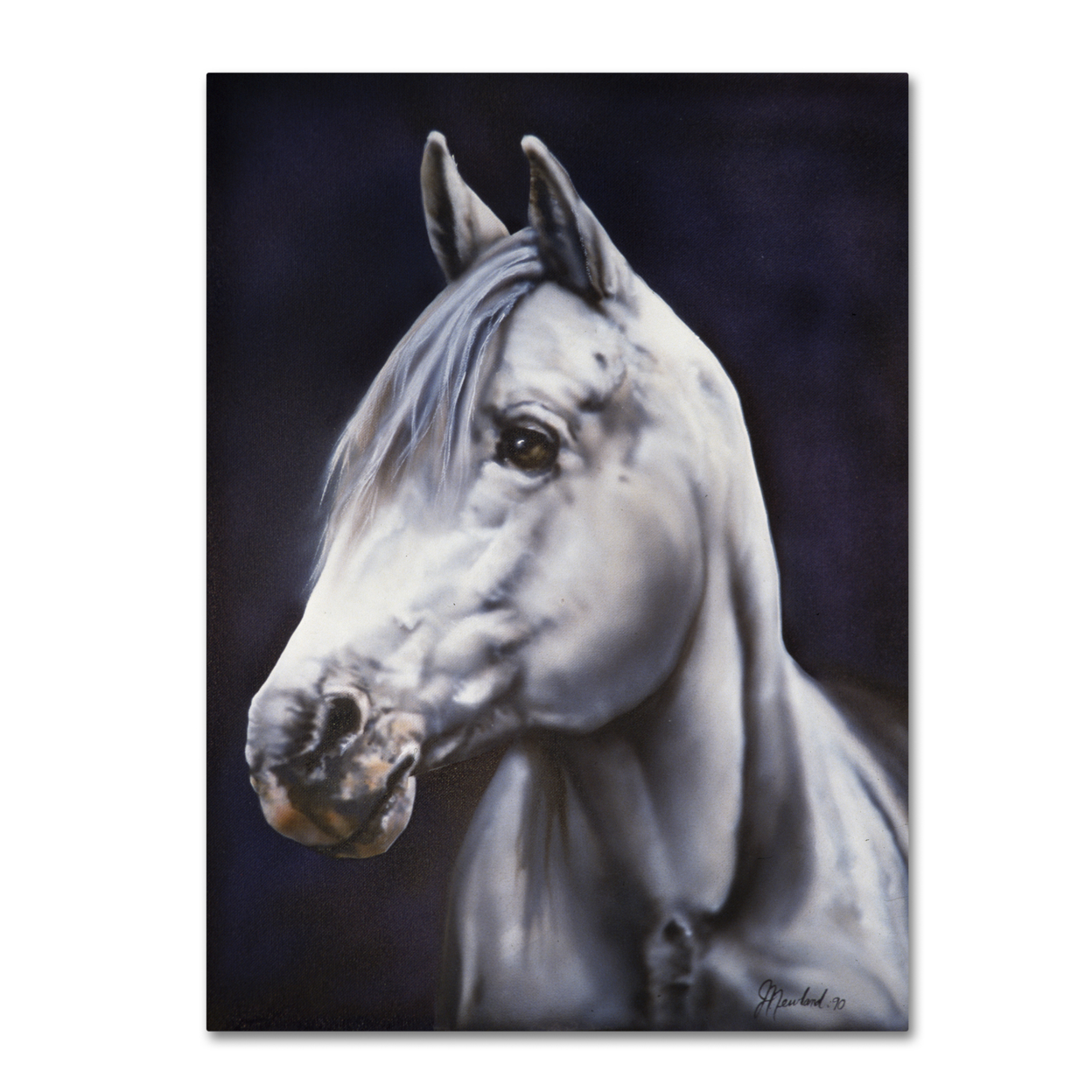 Jenny Newland 'White Arabian Stallion' Canvas Wall Art 35 X 47 Inches