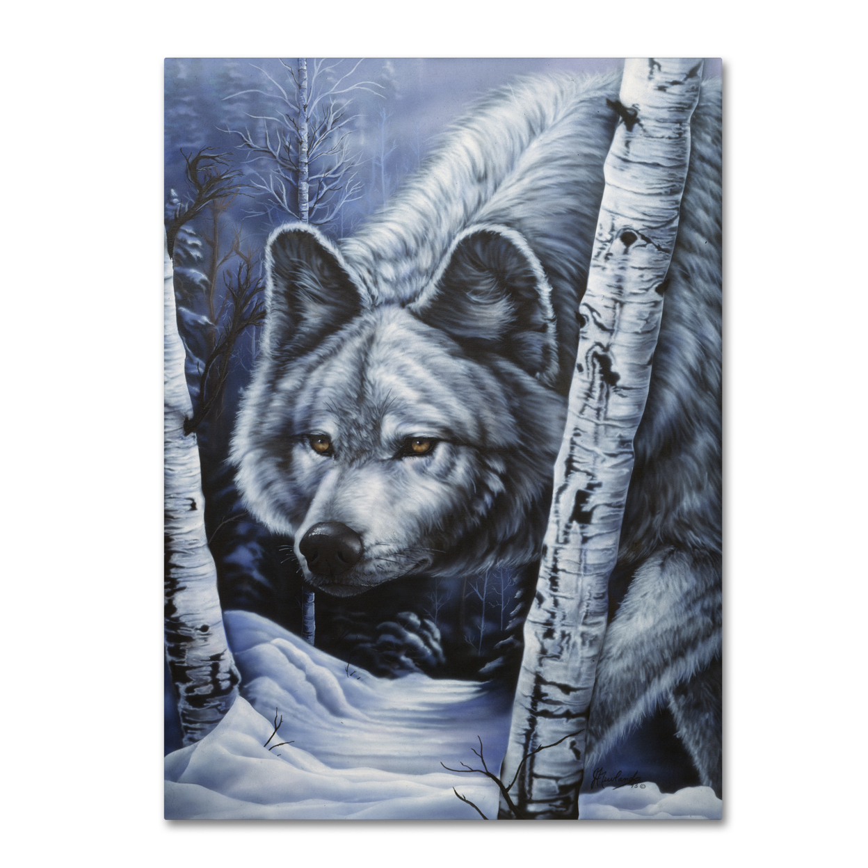 Jenny Newland 'White Wolf' Canvas Wall Art 35 X 47 Inches