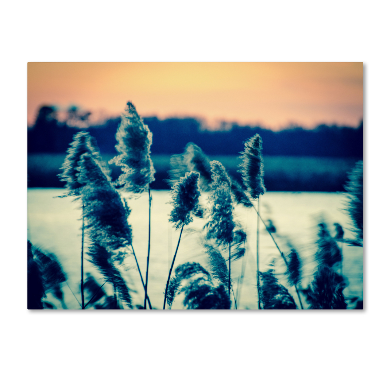 PIPA Fine Art 'Sunset On The Marsh 2' Canvas Wall Art 35 X 47 Inches