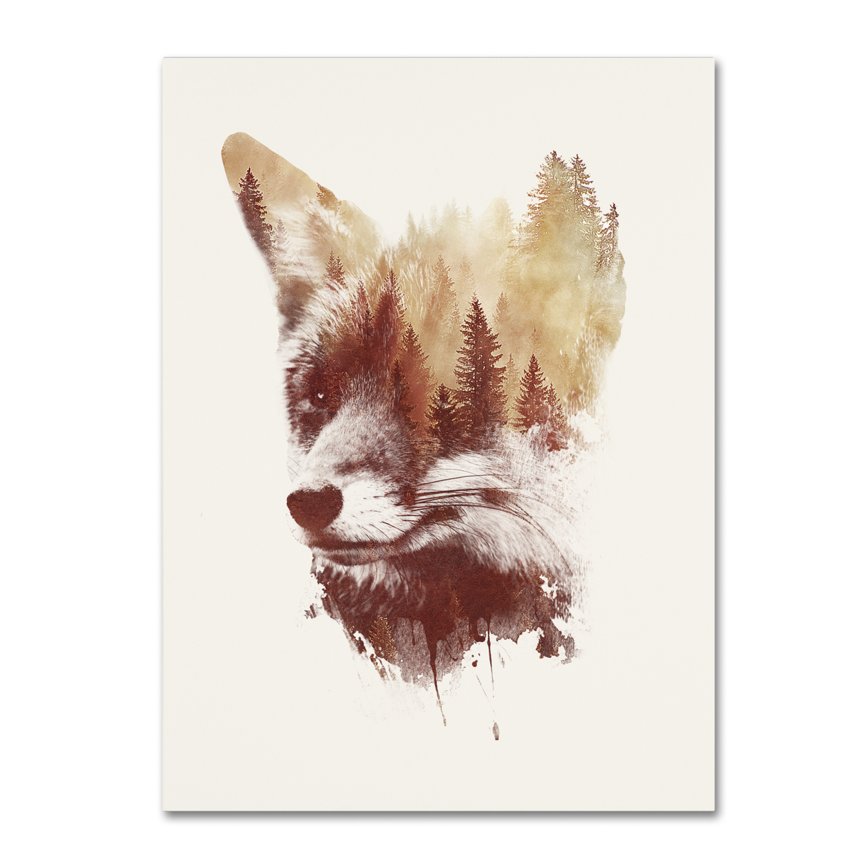 Robert Farkas 'Blind Fox' Canvas Wall Art 35 X 47 Inches
