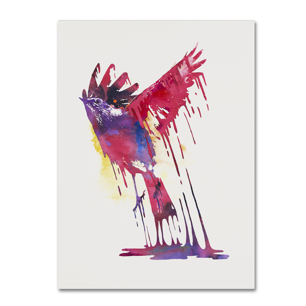 Robert Farkas 'The Great Emerge' Canvas Wall Art 35 X 47 Inches