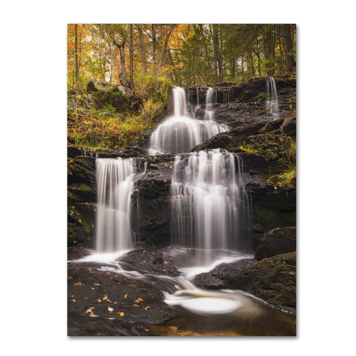 Michael Blanchette Photography 'Autumn Horsetails' Canvas Wall Art 35 X 47 Inches