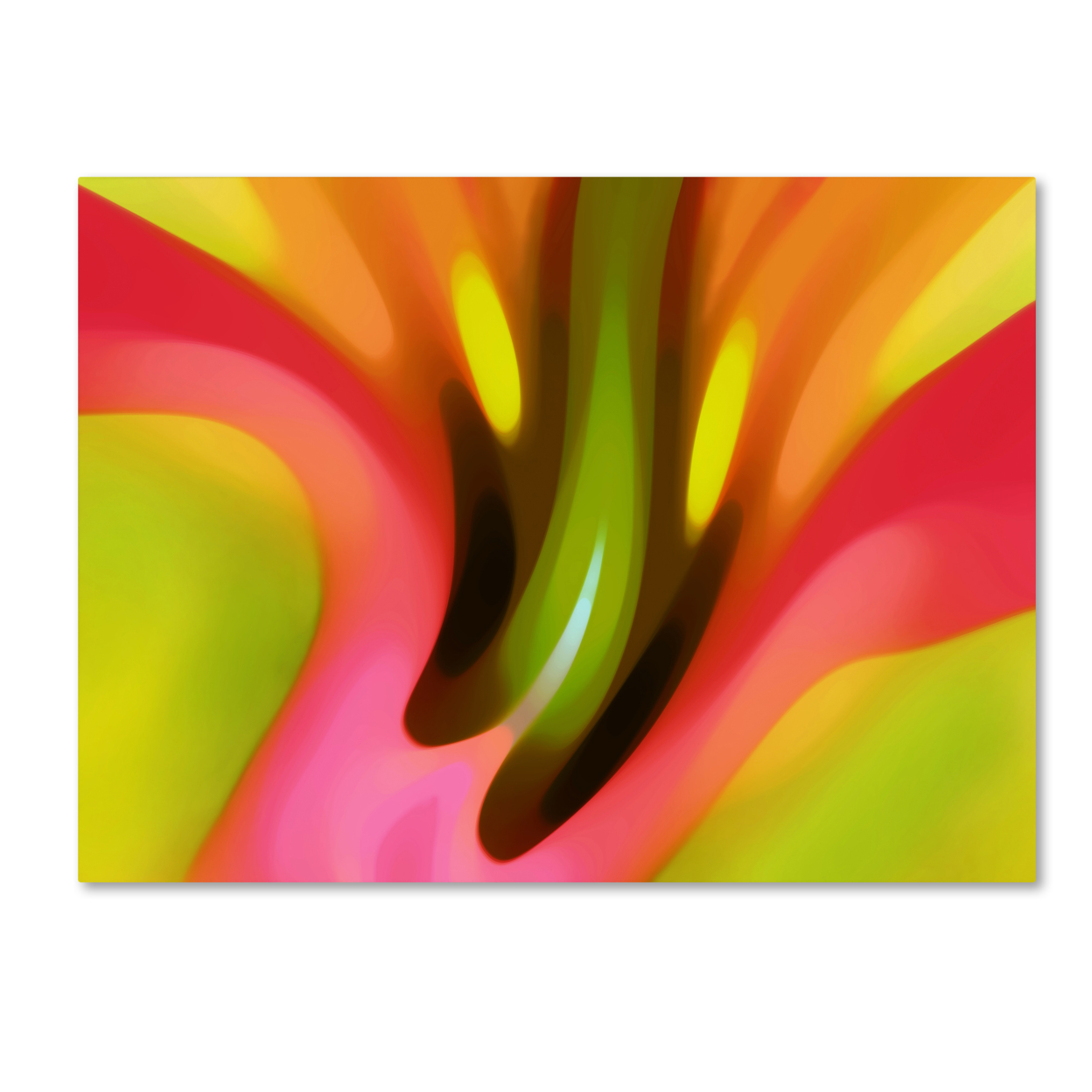 Amy Vangsgard 'Pink Lily' Canvas Wall Art 35 X 47 Inches
