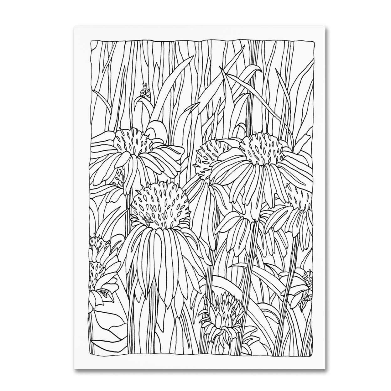 Kathy G. Ahrens 'Echinacea' Canvas Wall Art 35 X 47 Inches