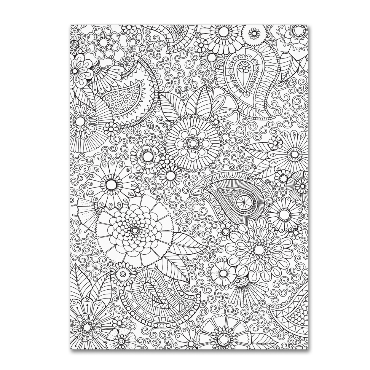 Hello Angel 'Paisley Floral' Canvas Wall Art 35 X 47 Inches
