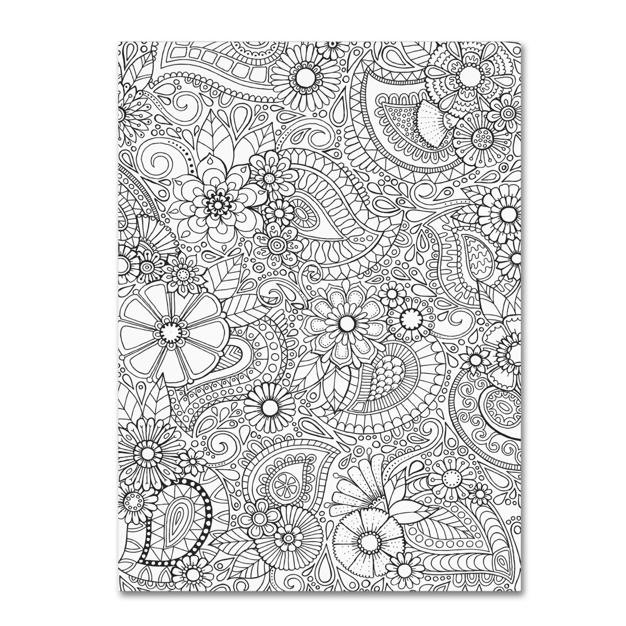 Hello Angel 'Paisley Blooms' Canvas Wall Art 35 X 47 Inches