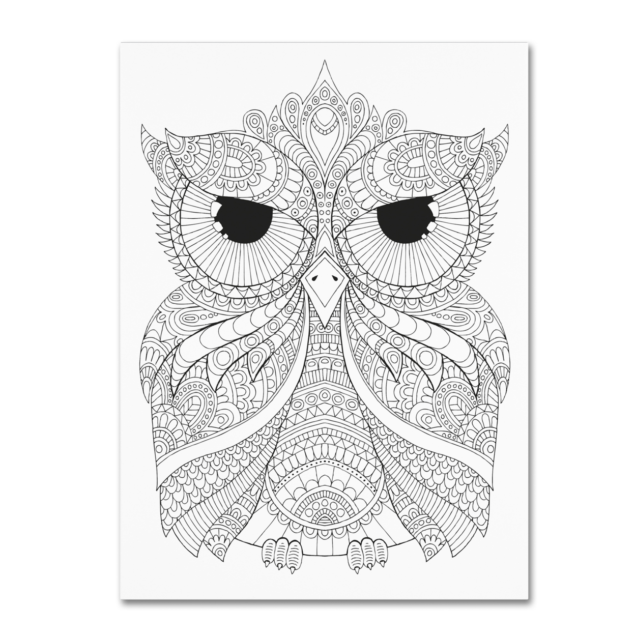 Hello Angel 'Night Owls 4' Canvas Wall Art 35 X 47 Inches