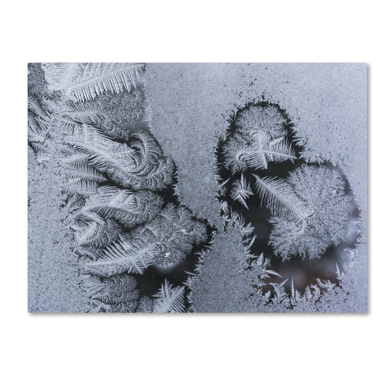 Kurt Shaffer 'Window Frost Pattern 4' Canvas Wall Art 35 X 47 Inches