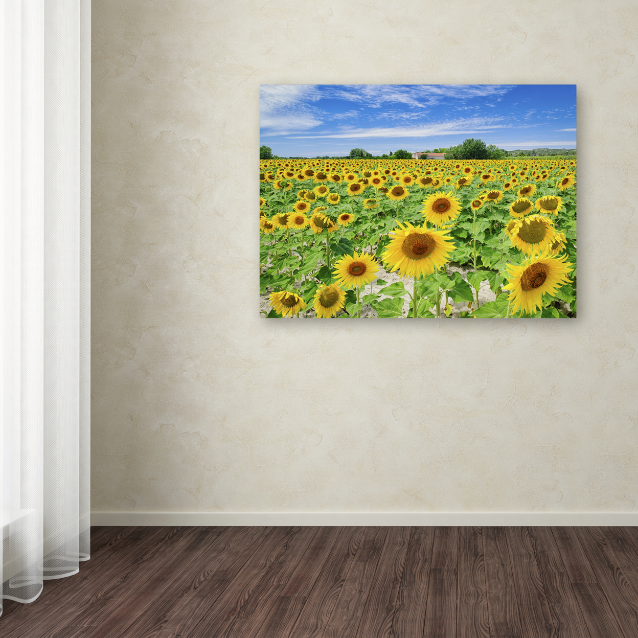 Michael Blanchette Photography 'Field Of Yellow' Canvas Wall Art 35 X 47 Inches