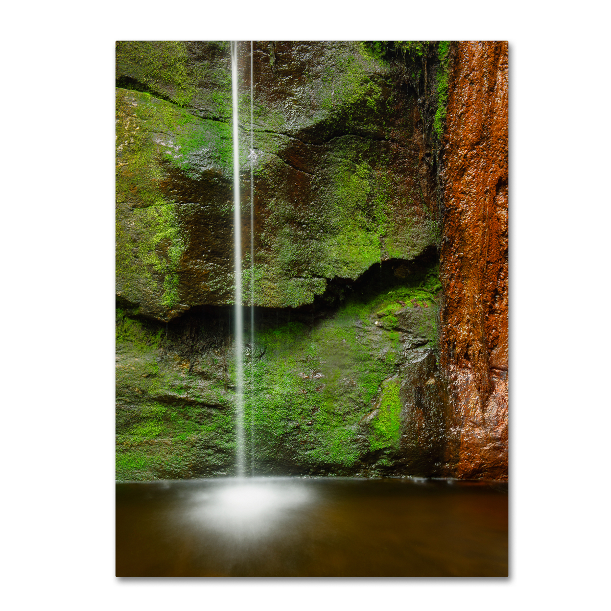 Michael Blanchette Photography 'Moss And Rust' Canvas Wall Art 35 X 47 Inches