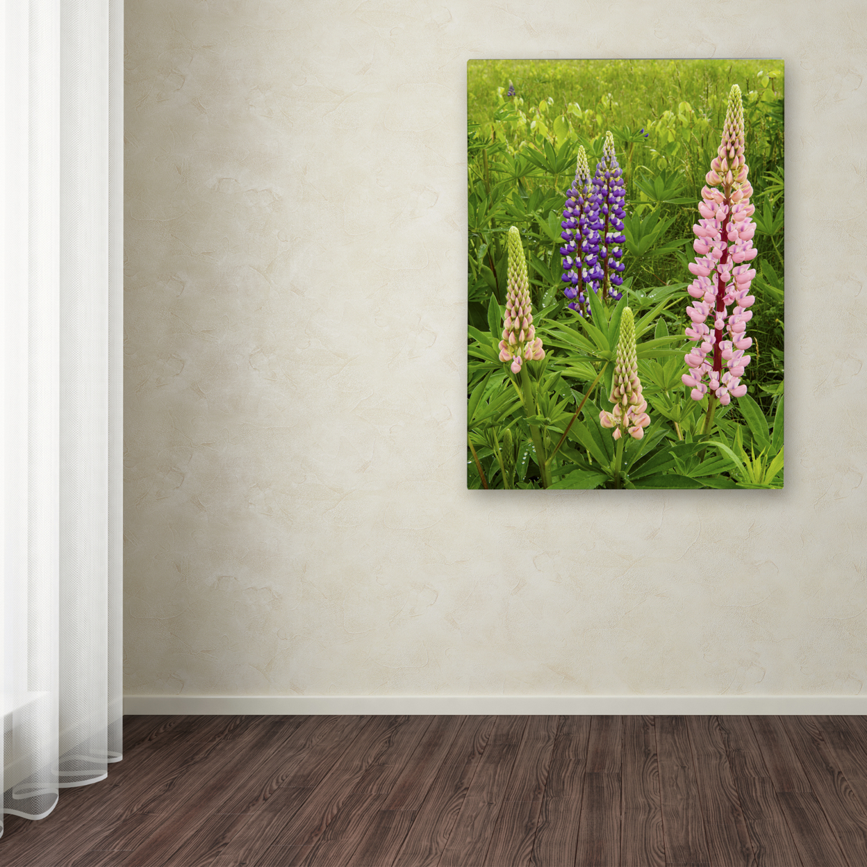 Michael Blanchette Photography 'Lupine Family' Canvas Wall Art 35 X 47 Inches