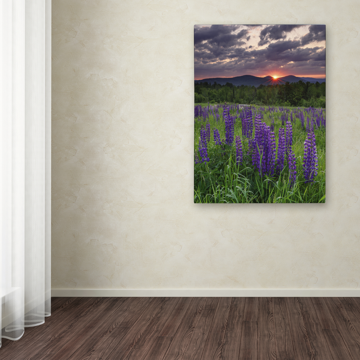 Michael Blanchette Photography 'Moody Sunrise' Canvas Wall Art 35 X 47 Inches