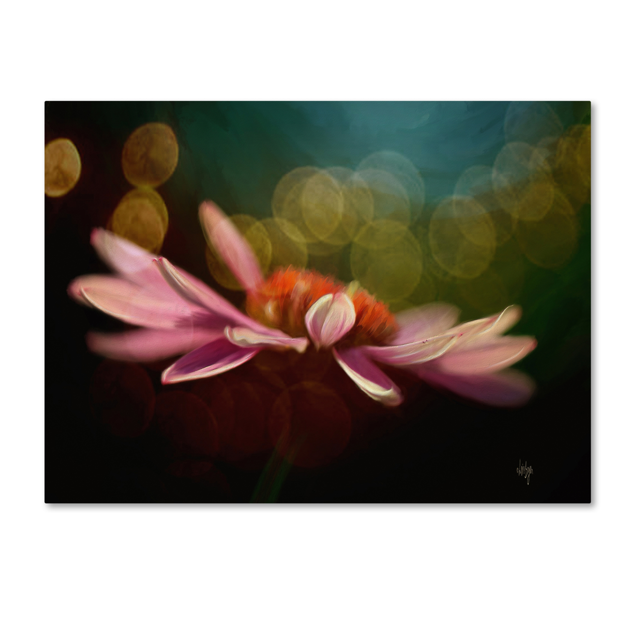 Lois Bryan 'The Secret World Of Coneflowers' Canvas Wall Art 35 X 47 Inches
