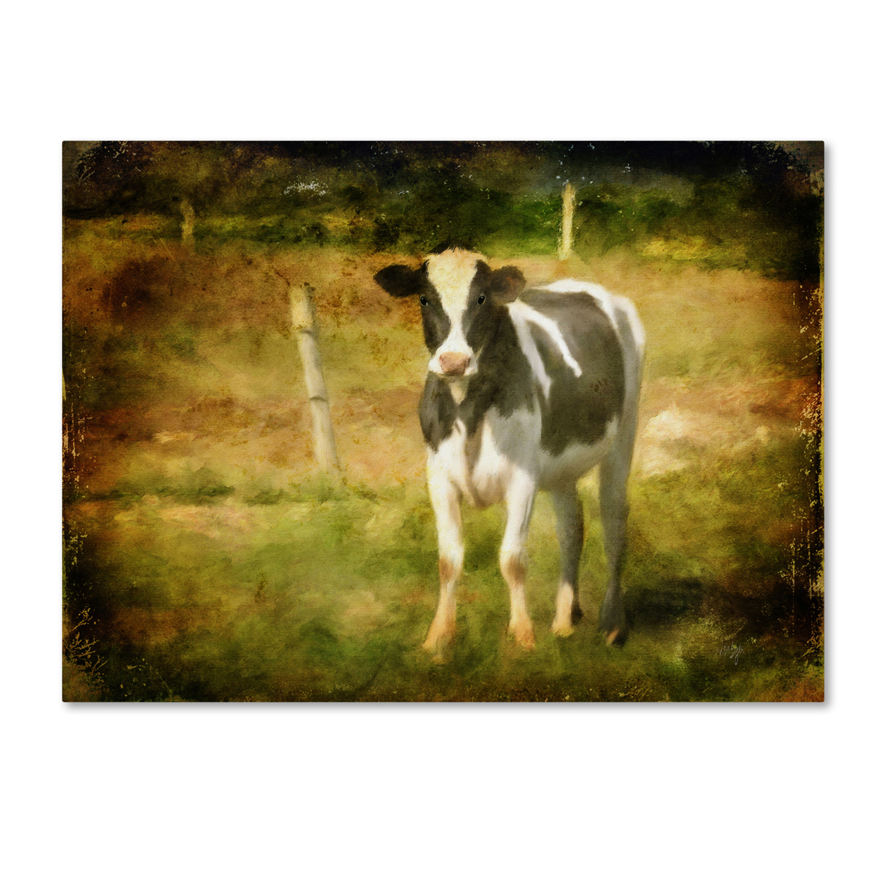 Lois Bryan 'Handsome Holstein' Canvas Wall Art 35 X 47 Inches