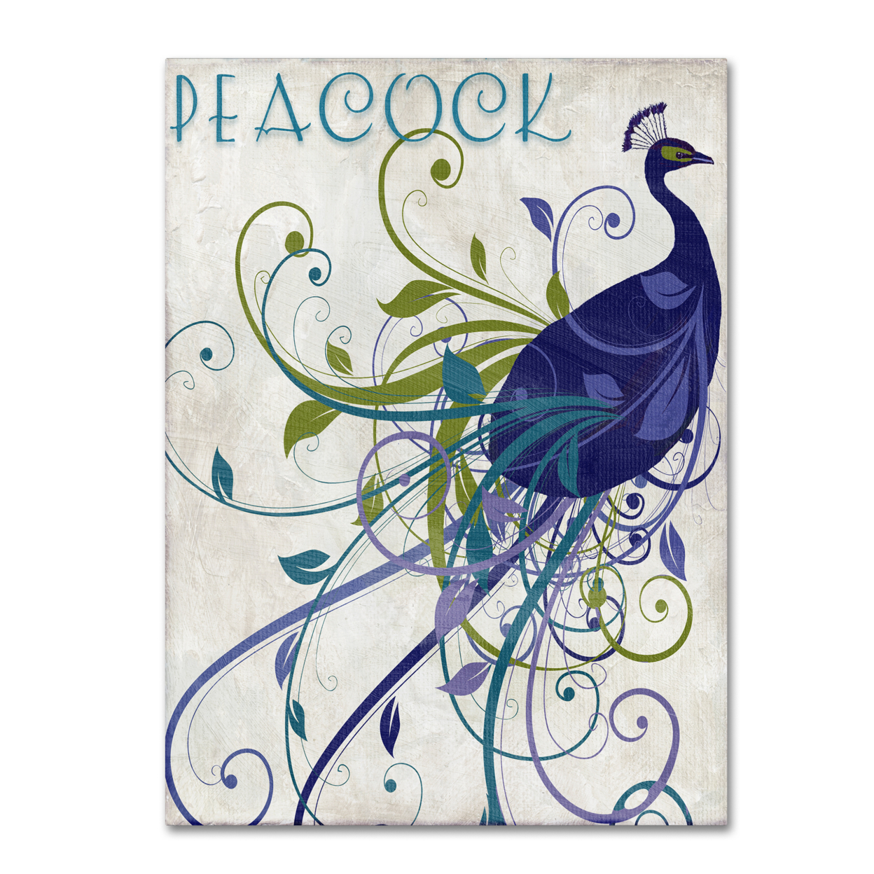 Color Bakery 'Peacock Nouveau I' Canvas Wall Art 35 X 47 Inches