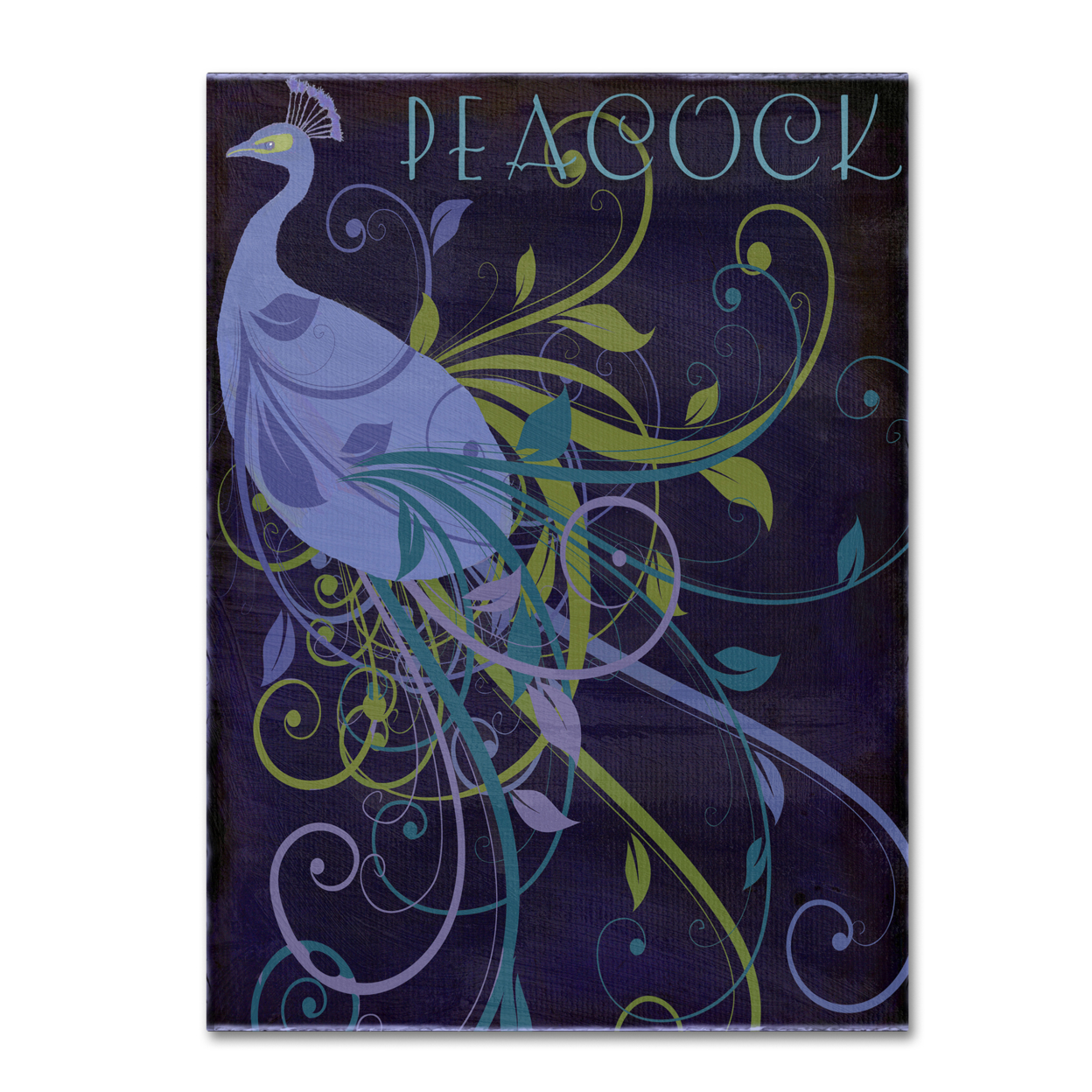 Color Bakery 'Peacock Nouveau II' Canvas Wall Art 35 X 47 Inches