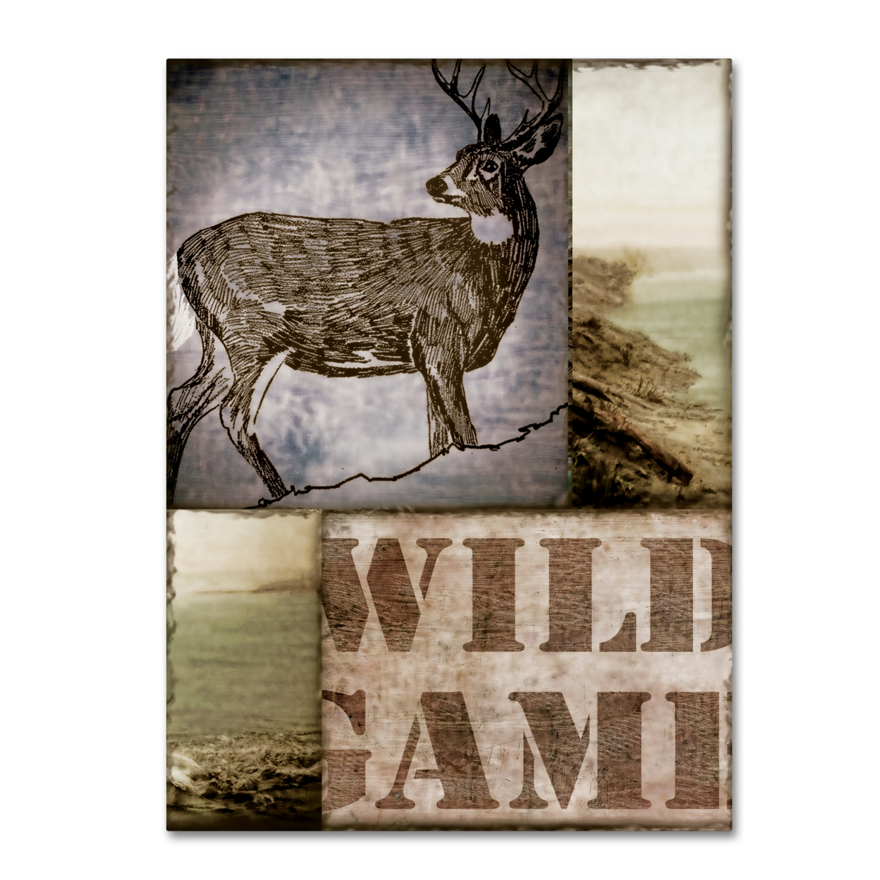 Color Bakery 'Wild Game' Canvas Wall Art 35 X 47 Inches