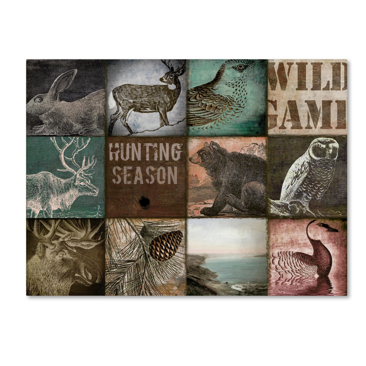 Color Bakery 'Cabelas' Canvas Wall Art 35 X 47 Inches