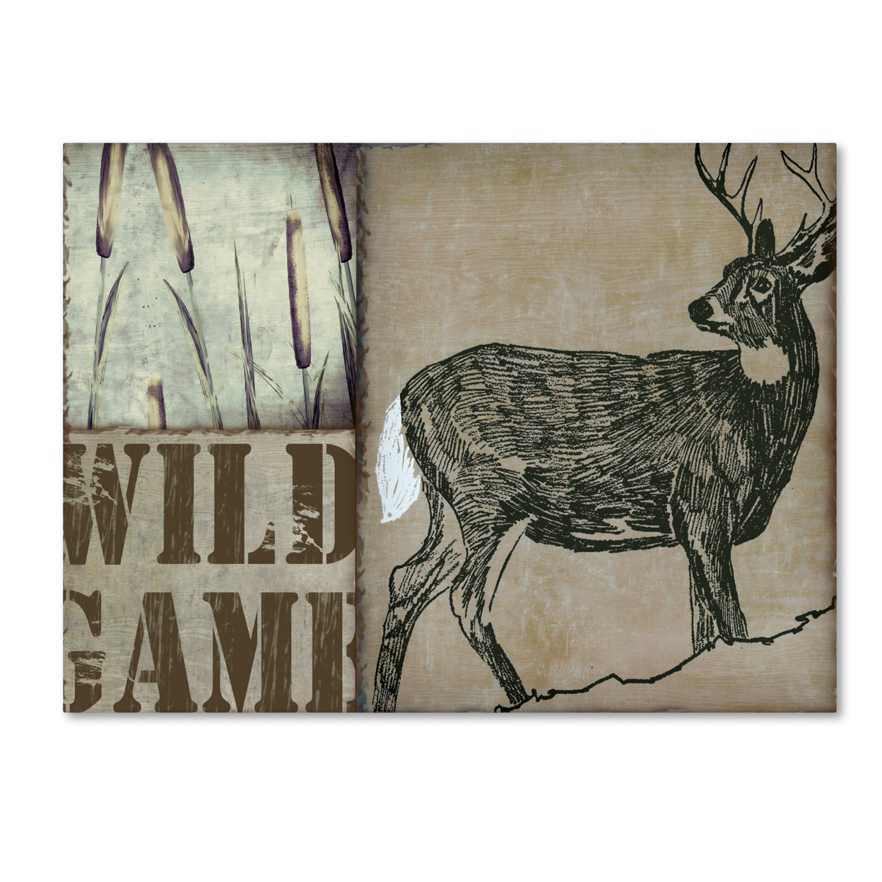 Color Bakery 'Deer With White Tail' Canvas Wall Art 35 X 47 Inches