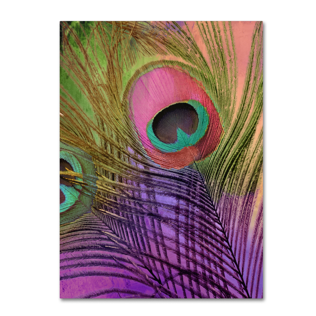 Color Bakery 'Peacock Candy III' Canvas Wall Art 35 X 47 Inches