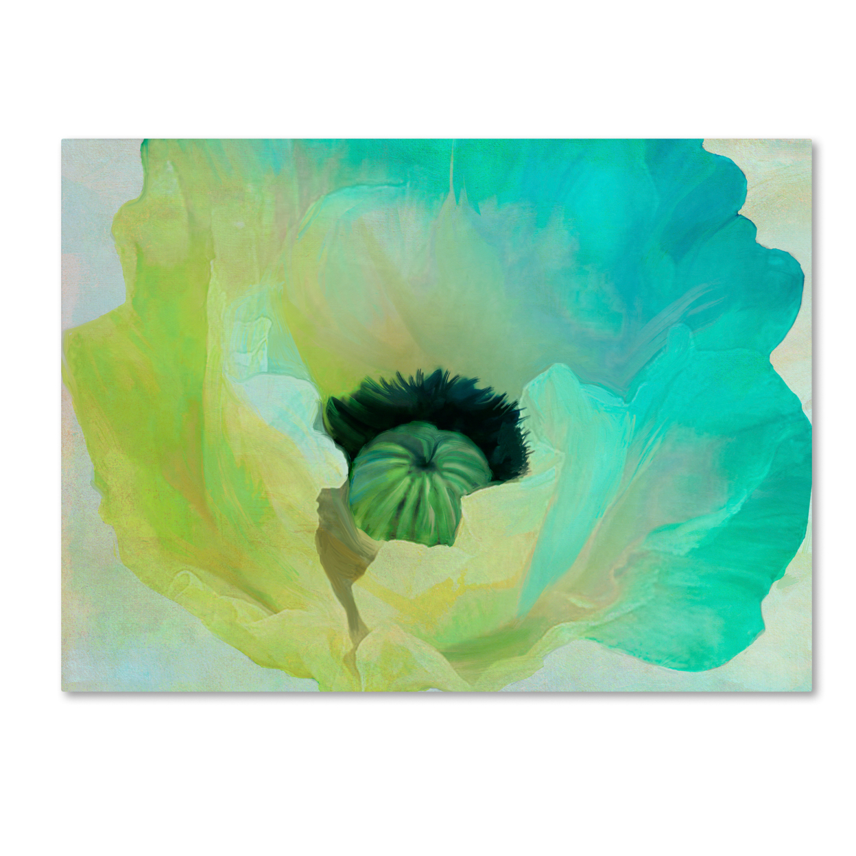 Color Bakery 'Poppy Gradient I' Canvas Wall Art 35 X 47 Inches