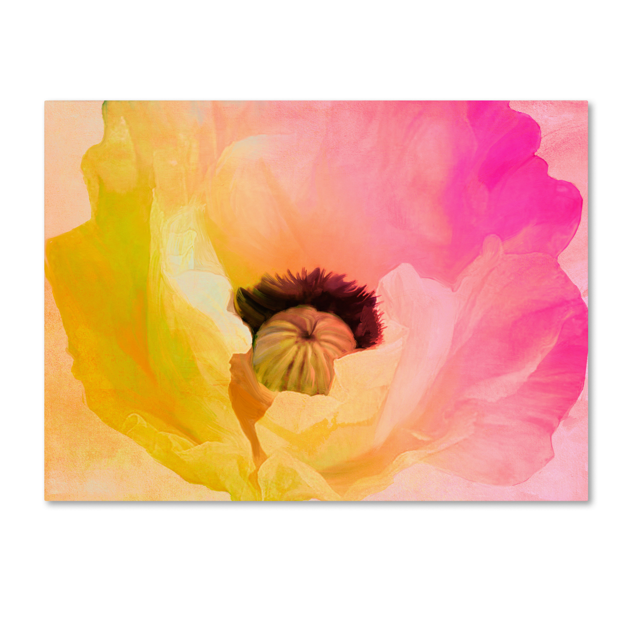 Color Bakery 'Poppy Gradient II' Canvas Wall Art 35 X 47 Inches
