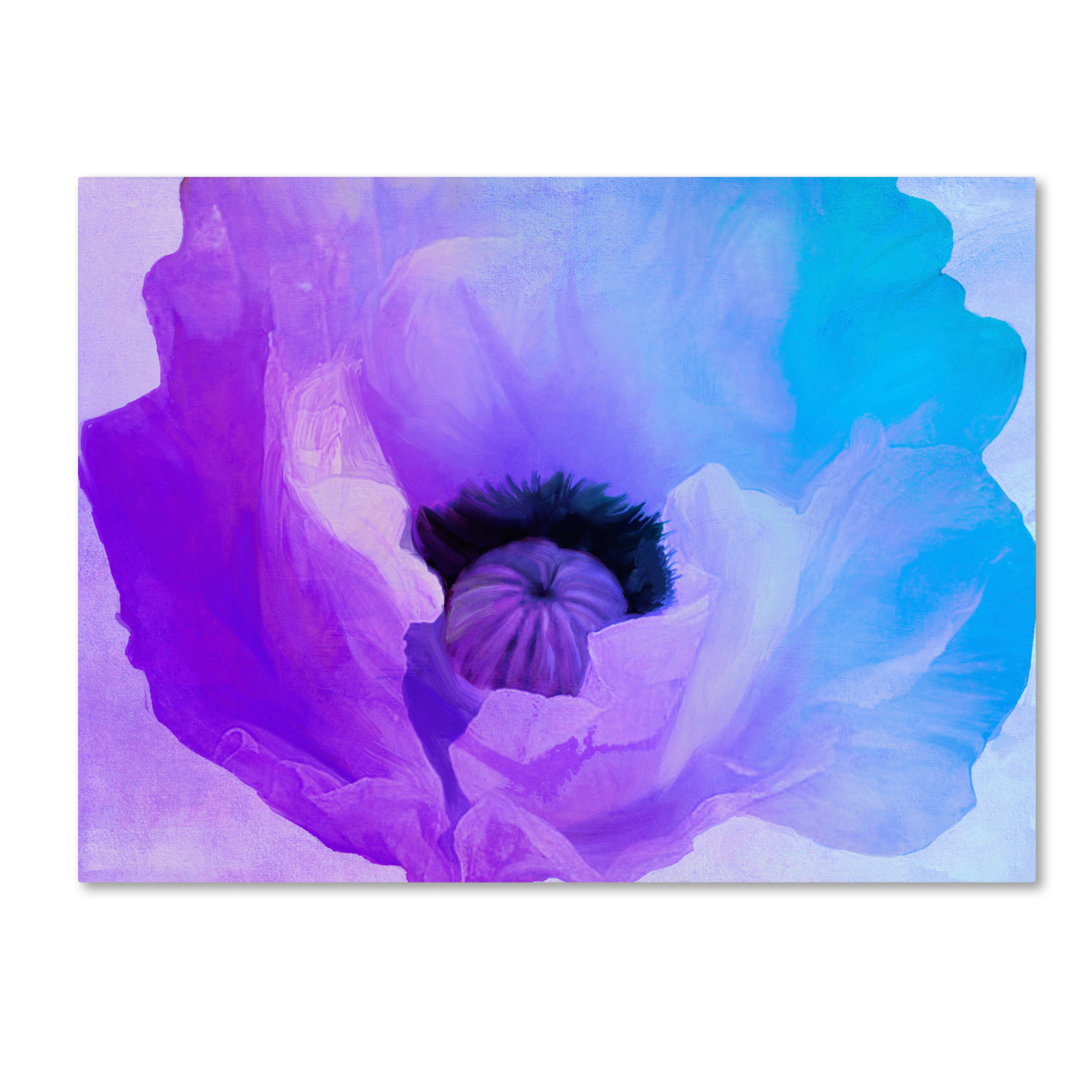 Color Bakery 'Poppy Gradient IV' Canvas Wall Art 35 X 47 Inches
