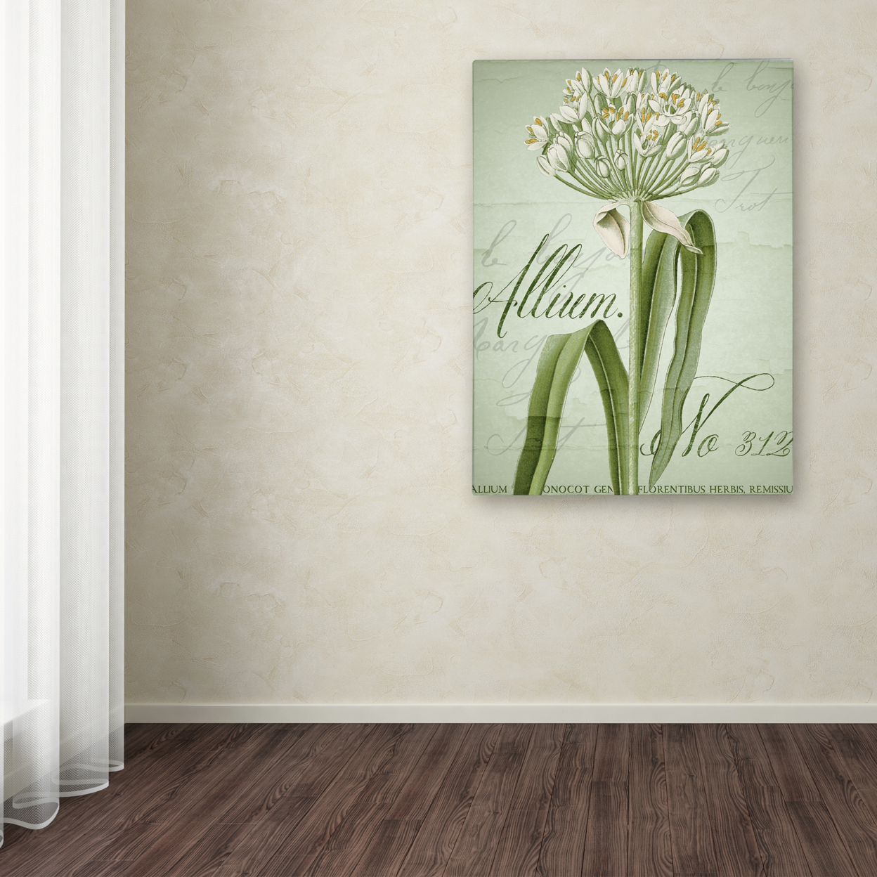 Color Bakery 'Allium I' Canvas Wall Art 35 X 47 Inches