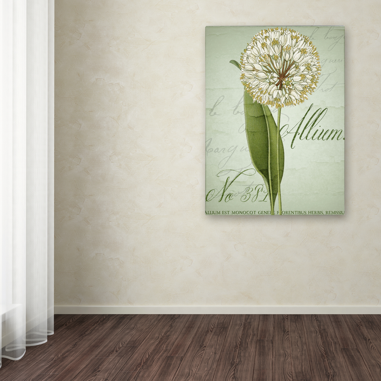 Color Bakery 'Allium II' Canvas Wall Art 35 X 47 Inches