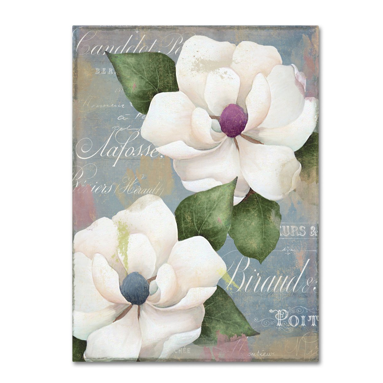 Color Bakery 'Southern Charms' Canvas Wall Art 35 X 47 Inches